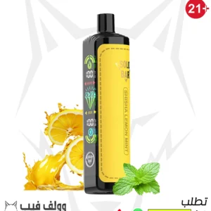 Shisha Lemon Mint solobar dtl25000