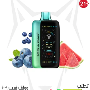 TESAL BAR  XT 40000 PUFFS BLUEBERRY WATERMELON 50MG